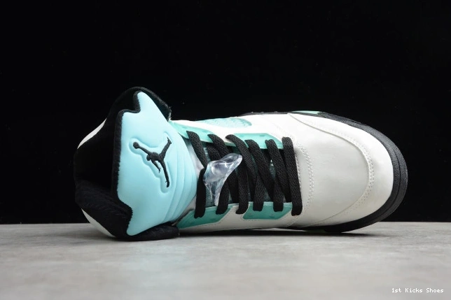 1st Kicks Shoes 5 Island GoAnywhere CN2932- Jordan Air Green 1087 1127